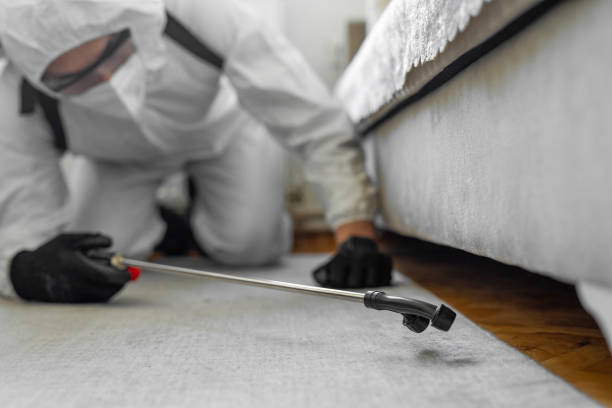 Professional Bed Bug Control technician working in Germantown, WI